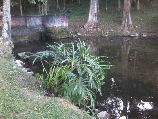 Parque Municipal Pérola da Serra