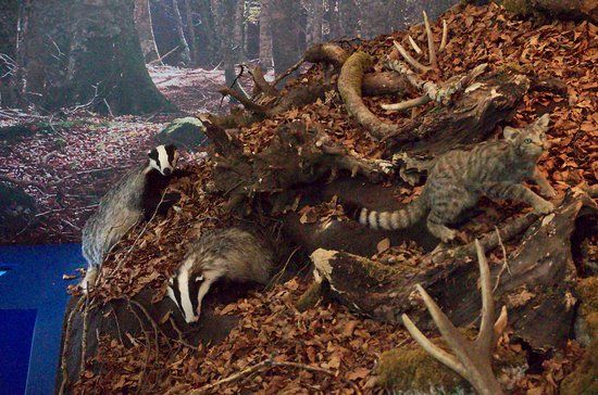 Ecomuseo Sandro Berardone