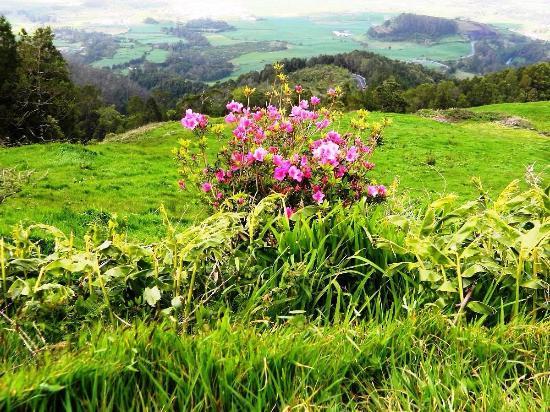 Bela Vista Viewpoint