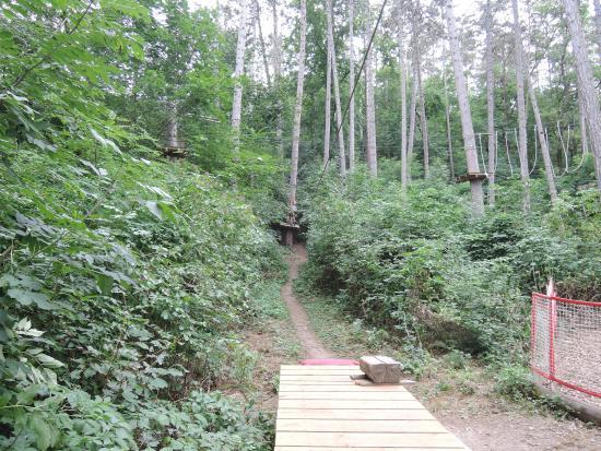 Junglepark