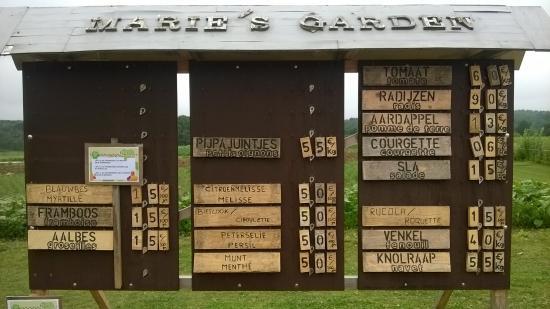 Marie's Garden