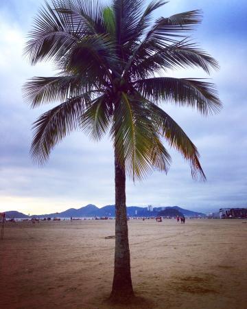 Tropical Bar