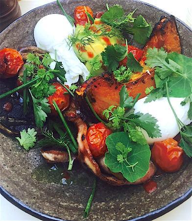 S.O.S - Save our Souls