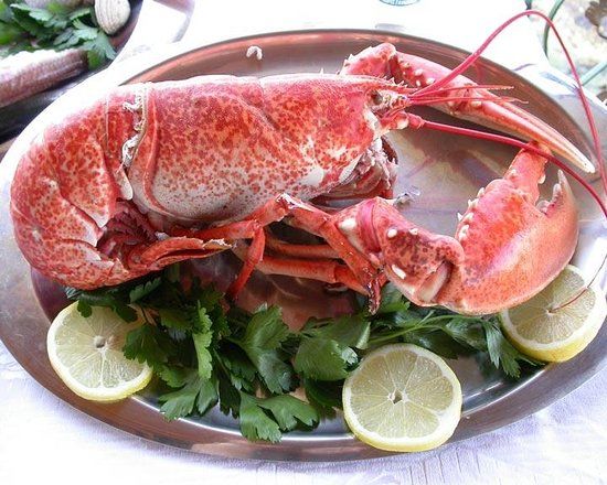 Akrogiali Restaurant
