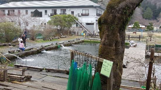 Ogurayamatsuribori Chaya