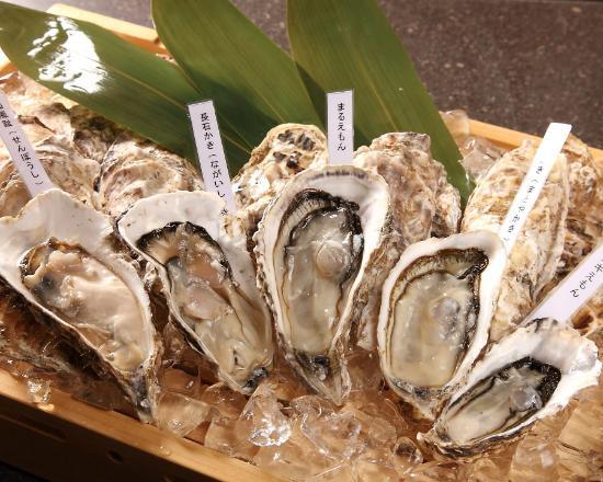 Kakiya Kodaharu Shimbashi