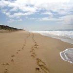 Grand Cafe Van Berensteyn