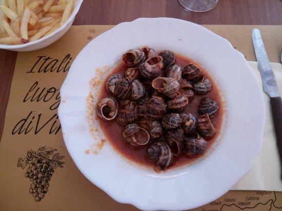 Il Bachero