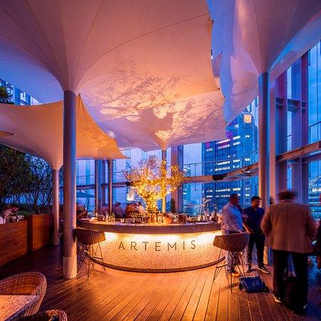 Artemis Grill