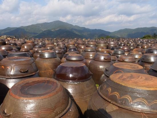 Gwangyang Maehwa Village