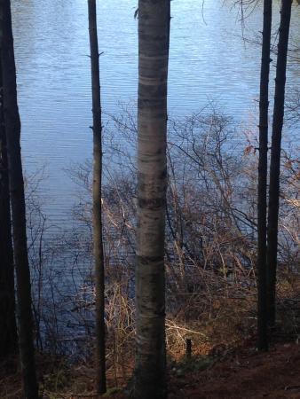 F. Gilbert Hills State Forest