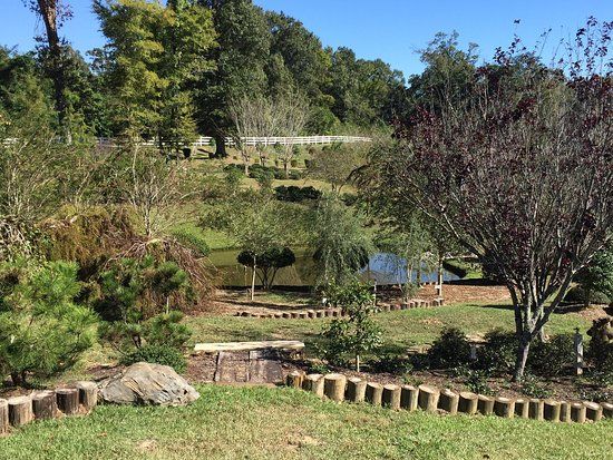 Imahara Botanical Garden
