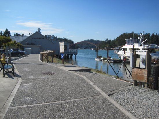 That's Knot All Artist's Co-op