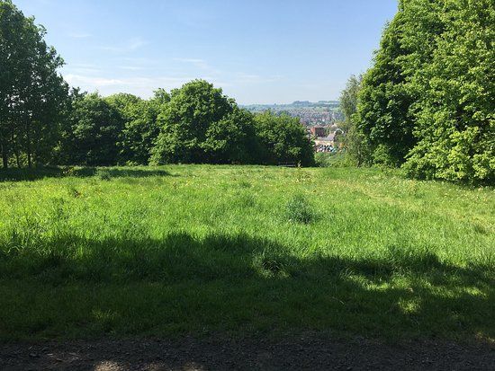 Belper Park Local Nature Reserve