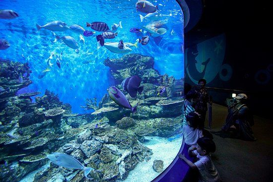 Aqua Planet Yeosu