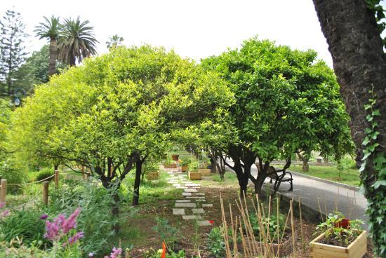 Jardin d'agrumes du Palais Carnoles