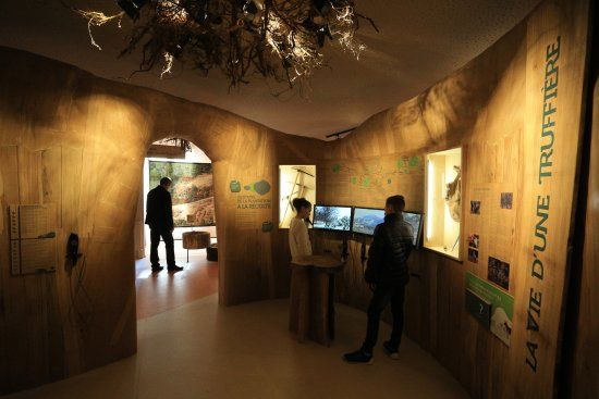 Maison de la Truffe du Verdon