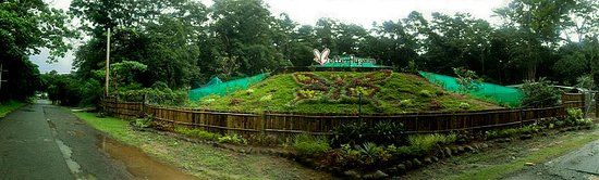 Butterfly Garden