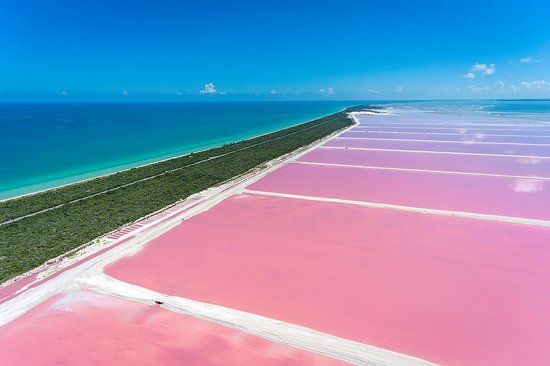 Pink Lagoon Las Coloradas