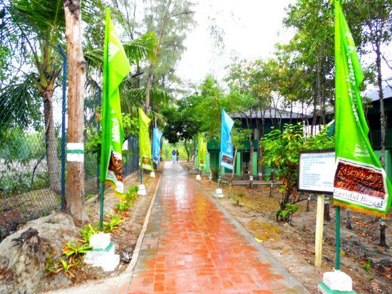Sajnekhali Bird Sanctuary