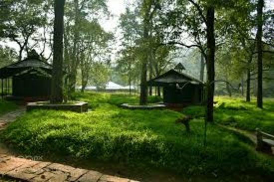 Anamalai Wild Life Sanctuary