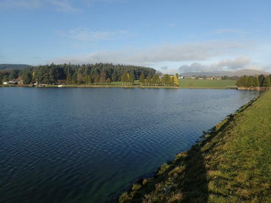 Barnsfold Waters Trout Fishery