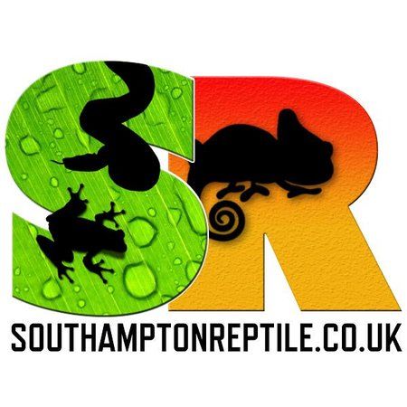 Southampton Reptile