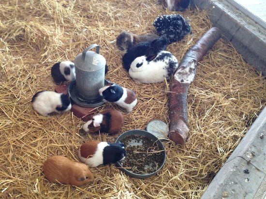 Washbrooks Family Farm