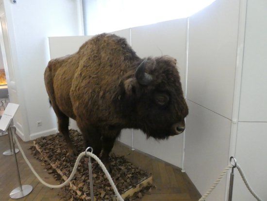 Naturwissenschaftliches Museum Flensburg