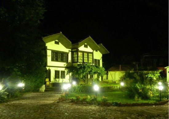 Museum van Ponišavlje