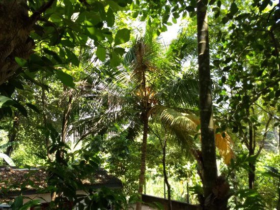 Highland Spice Garden