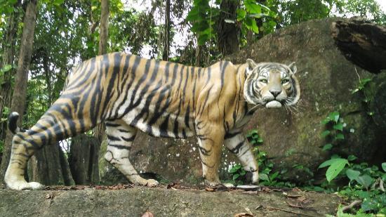 National Museum of Ratnapura