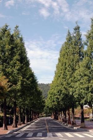 Haengso Museum of Keimyung University