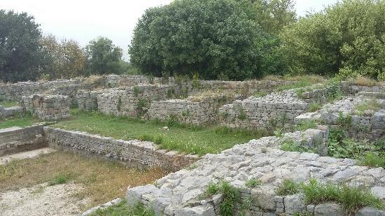 Jaulian Buddhist Monastery