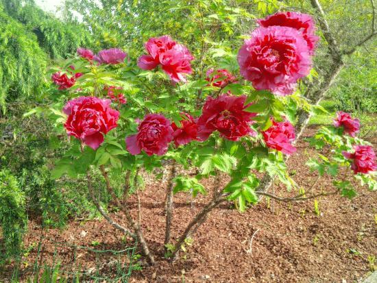 Parque Natural de Pagoeta