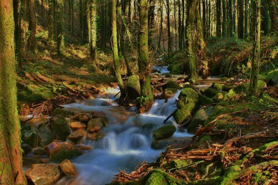Ruta de Senderismo Rio Da Fraga