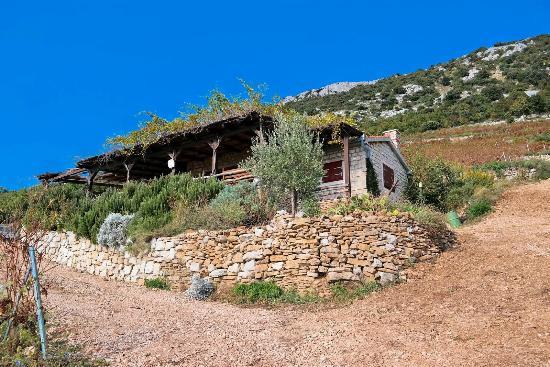 Winery Bedalov