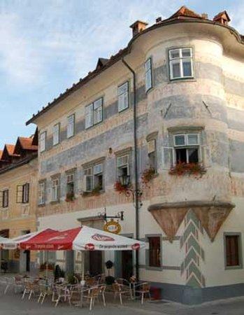 Vidic House