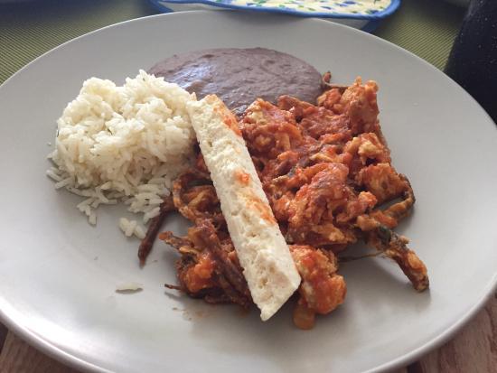 Fonda La Yerbabuena