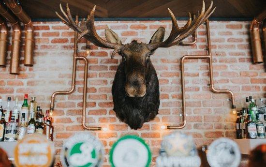 The Loose Moose Tap & Grill House