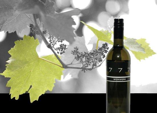 WEINWERK Vinothek & WineShop