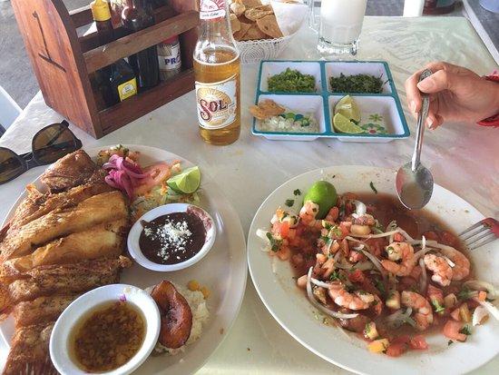 EL Pejelagarto de Bacalar
