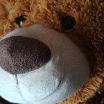 Local Lokal Industry Pub