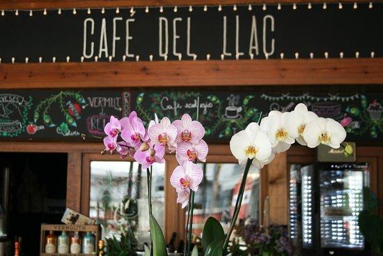 Cafe del Llac