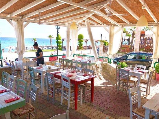 Sofis Cuisine