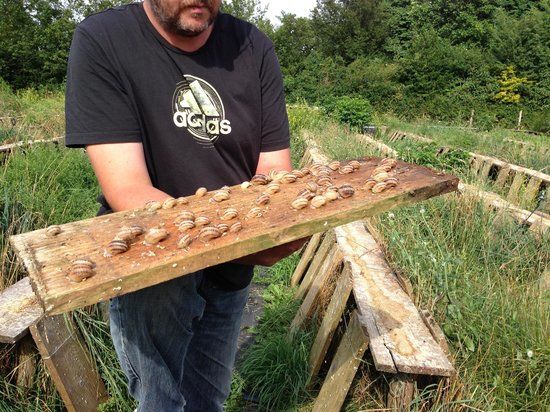 Le Jardin aux Escargots