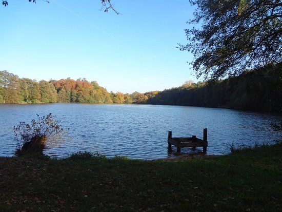 Etangs de Bonfol
