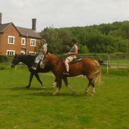 Nedge Farm Riding Centre