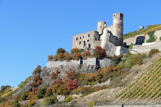 Rhine Valley