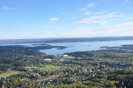 Skaugumsaasen